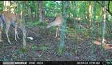 2665 Center Point Rd - Photo 67