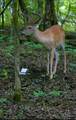 2665 Center Point Rd - Photo 71