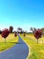 226 Naron Rd - Photo 63