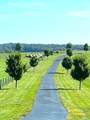 226 Naron Rd - Photo 66