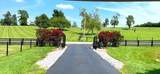 226 Naron Rd - Photo 67