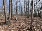4441 Deer Run Road - Photo 15