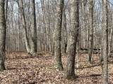 4441 Deer Run Road - Photo 10