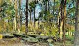 1150 Deer Run Rd - Photo 81
