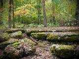 1150 Deer Run Rd - Photo 83