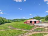 8663 Dog Creek Rd - Photo 24