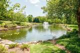 95 Victoria Park - Photo 44