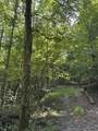 0 Albert Fentress Rd - Photo 3