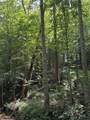 0 Albert Fentress Rd - Photo 4