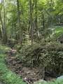 0 Albert Fentress Rd - Photo 5