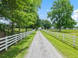 1967 Liebengood Rd - Photo 6