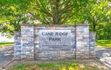 210 Land Breeze Drive - Photo 50