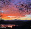 12220 Warrior Trail Tr - Photo 4