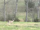 5444 Harris Cemetery Rd - Photo 55