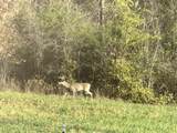 5444 Harris Cemetery Rd - Photo 56