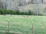 5444 Harris Cemetery Rd - Photo 57