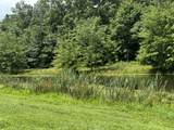 352 Mountain Lake Rd - Photo 12