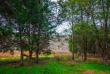 2114 Taylor Town Rd - Photo 38