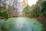 2114 Taylor Town Rd - Photo 40