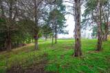 2114 Taylor Town Rd - Photo 43