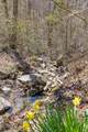610 Orme Mountain Road - Photo 5