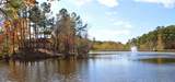 7214 Melrose Pl - Photo 24