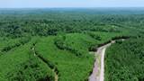0 Cox Hollow Rd - Photo 9