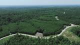 0 Cox Hollow Rd - Photo 14