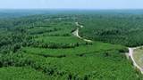 0 Cox Hollow Rd - Photo 14