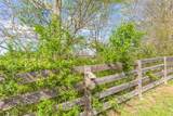 369 Springwater Dr - Photo 86