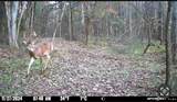 390 Hurd Rd - Photo 61
