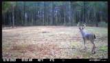 390 Hurd Rd - Photo 62