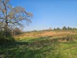 730 Rickman Rd - Photo 8