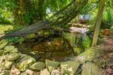 1805 Needmore Rd - Photo 38