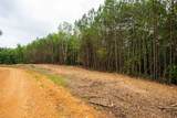 0 Old Mail Road - Photo 17
