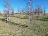 5128 Cove Creek Rd Rd - Photo 14