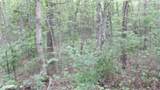 0 Hilltop Lane - Photo 12