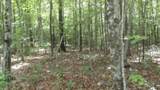 0 Parkstown Ext Rd - Photo 6
