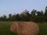 7607 Midland Rd - Photo 42