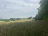 0 Cane Creek Road - Photo 4