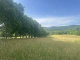 0 Cane Creek Road - Photo 12