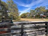 3364 Sarah Bee Ln - Photo 68