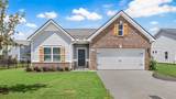 1424 English Oak Drive - Photo 1