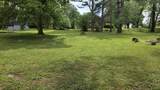 0 Lion Parkway - Photo 3