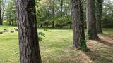 0 Lion Parkway - Photo 5