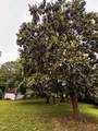2608 Davidwood Ct - Photo 15