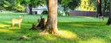 407 Idaho Springs Rd - Photo 43
