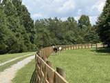 5988 Fly Hollow Rd - Photo 14