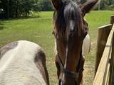 5988 Fly Hollow Rd - Photo 15