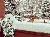 1715B 5th Ave - Photo 31
